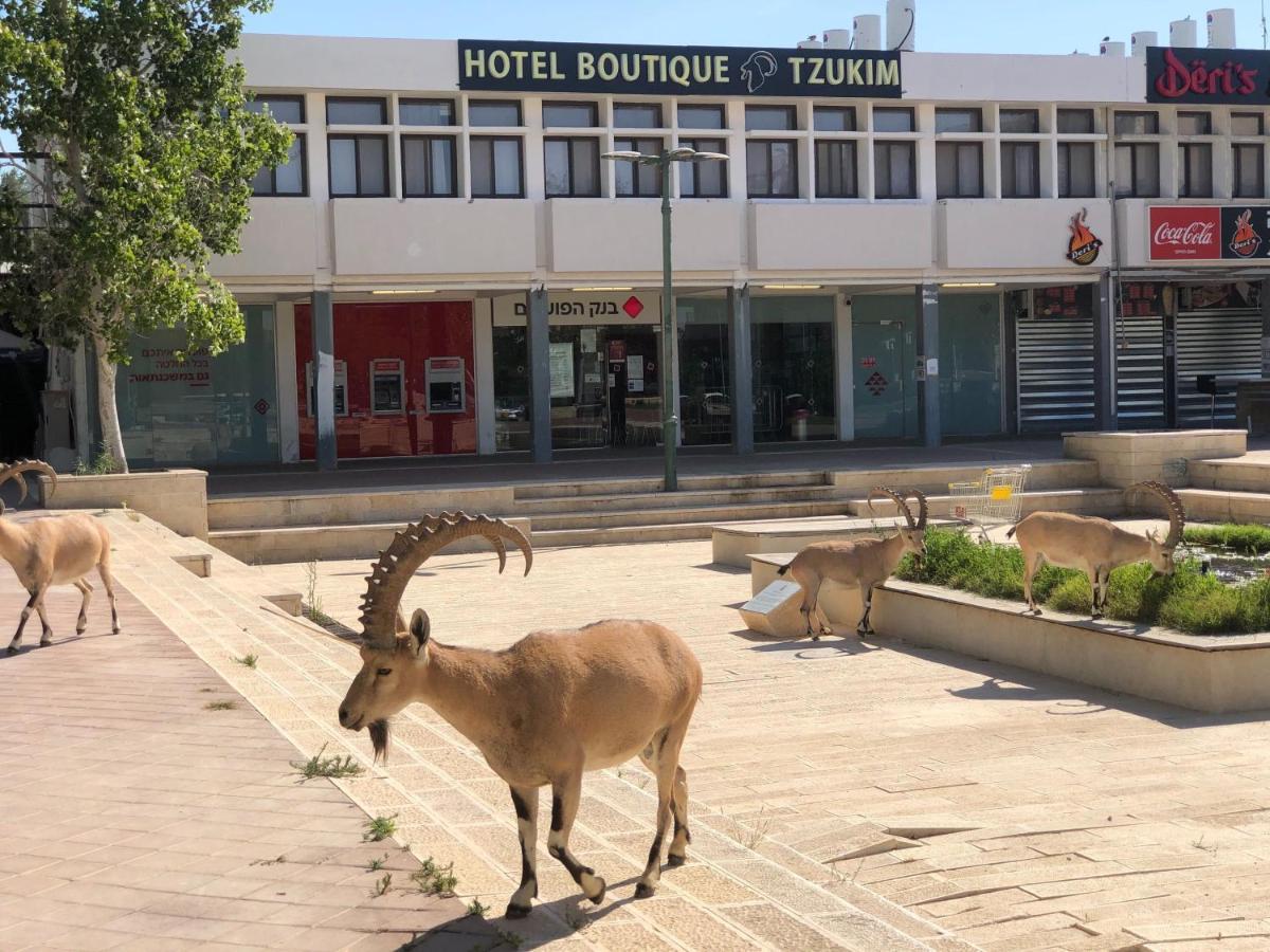 Tzukim Desert Traveler'S Hotel - מלון צוקים Mițpe Ramon Exterior foto